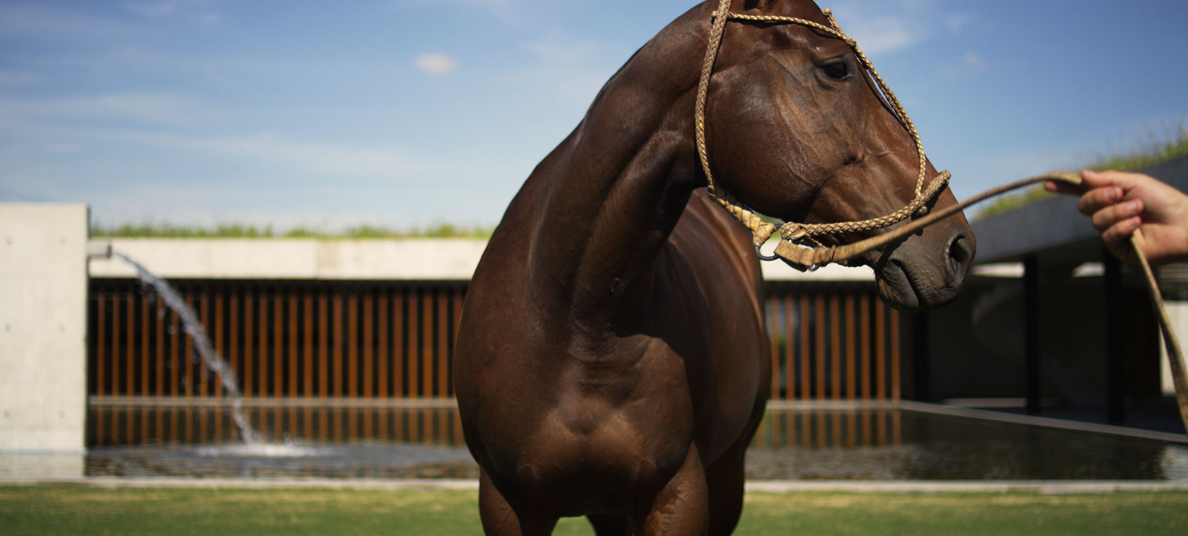 FIGUERAS POLO STABLES 18