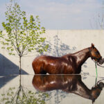 FIGUERAS POLO STABLES 28 150x150