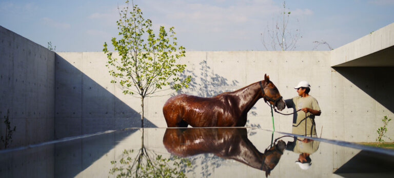 FIGUERAS POLO STABLES 28 768x347