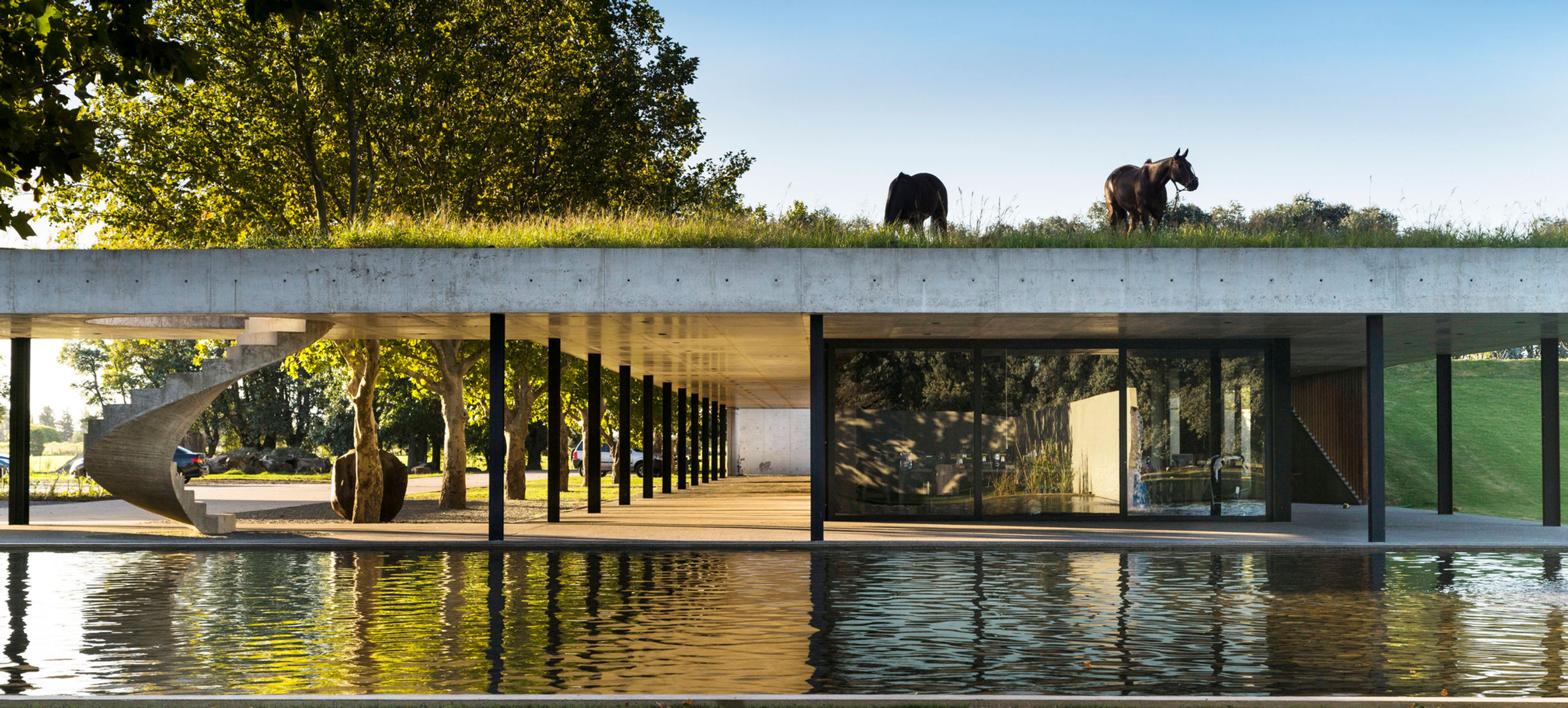 FIGUERAS POLO STABLES 29