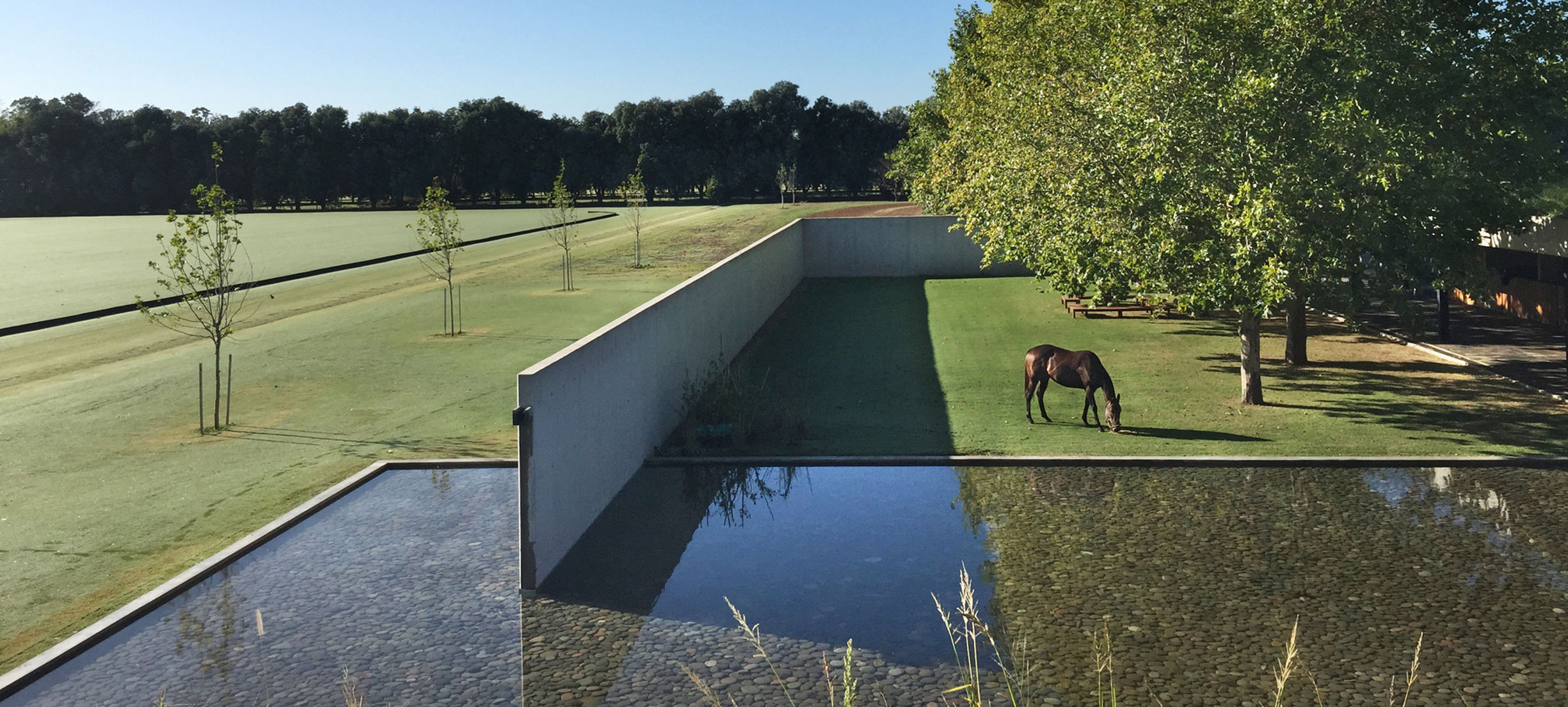 FIGUERAS POLO STABLES 3