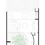luma plantas 01 6 150x150