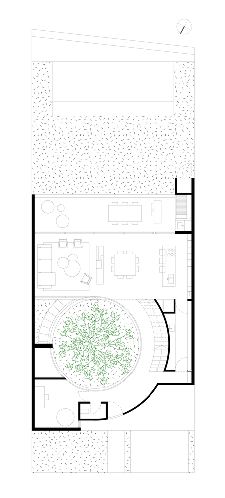 luma plantas 01 6