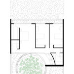 luma plantas 02 7 150x150