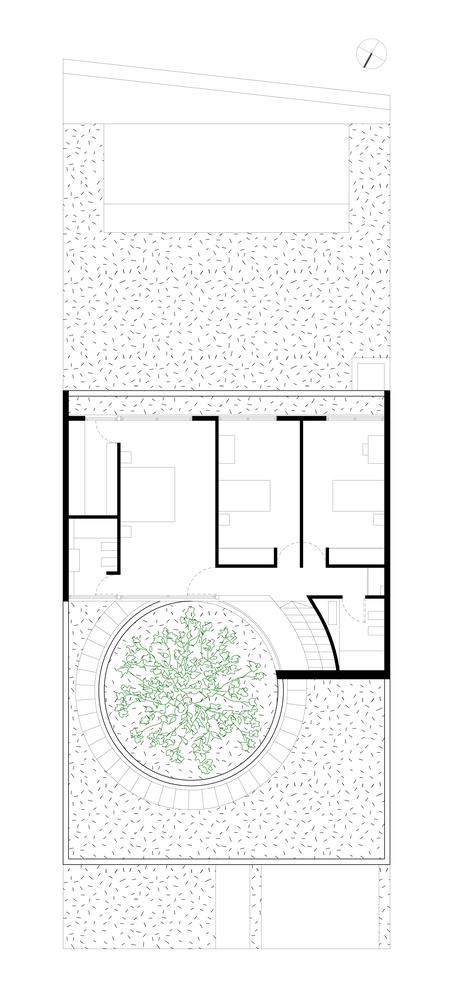 luma plantas 02 7