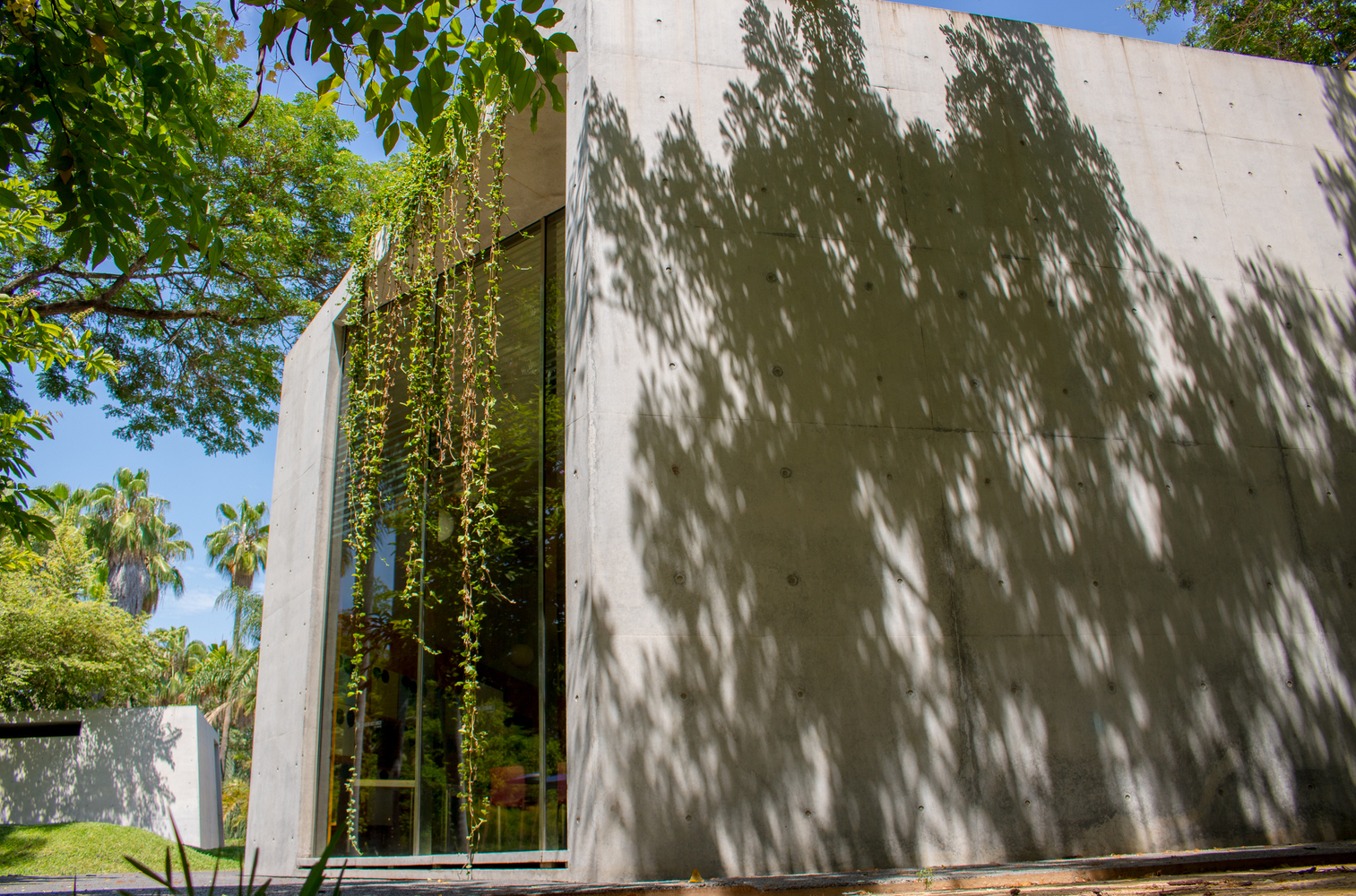 Jardin Botanico de Culiacan 02
