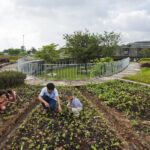 Jardin Infantil Farming 07 150x150